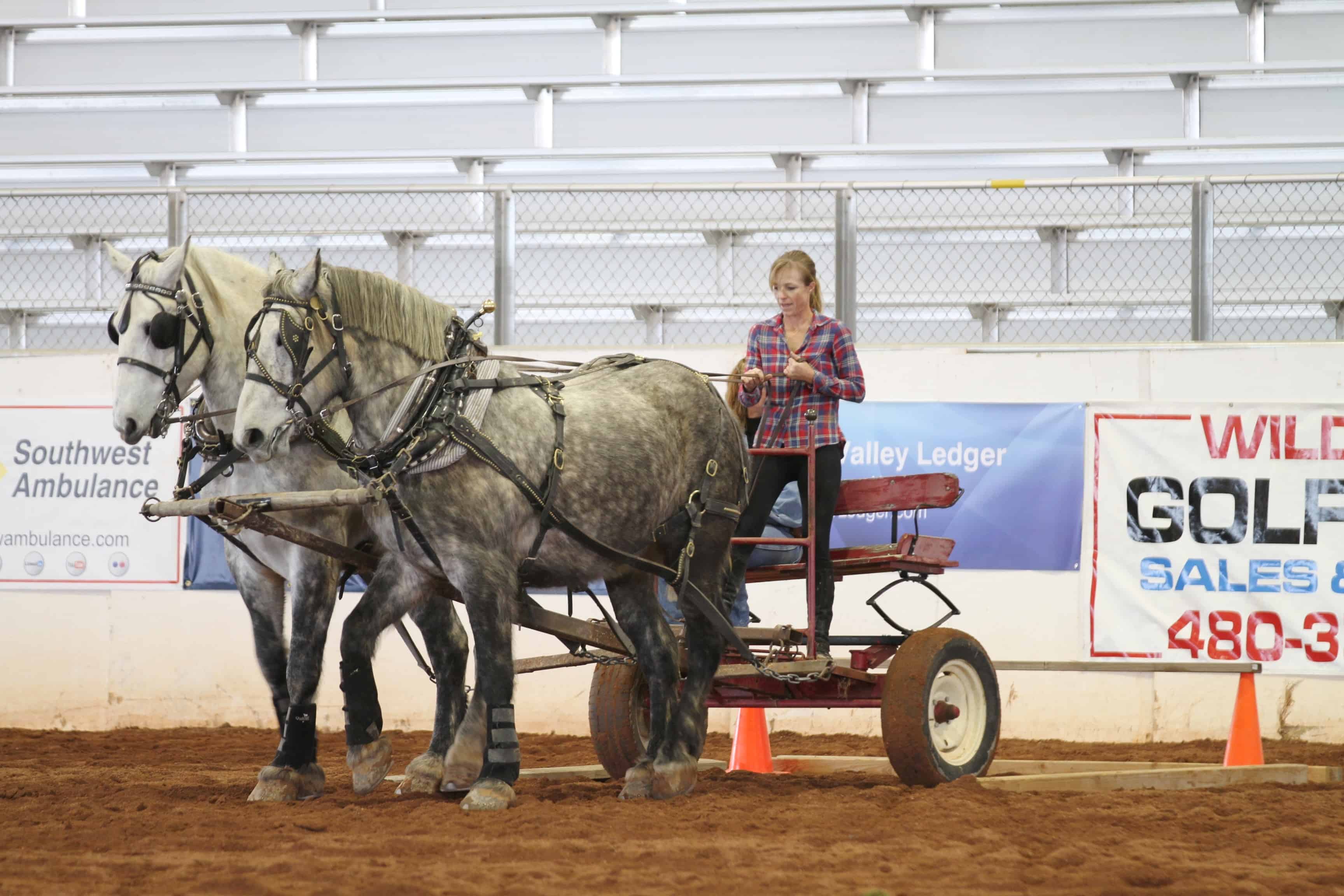 Roots N Boots Queen Creek Draft Horse Expo