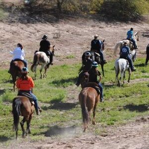Poker Ride Entry fee - Adult (21+)