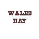 WalesHay 200w